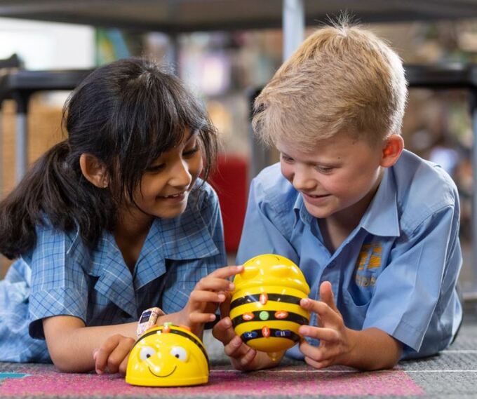 Beebots.JPG