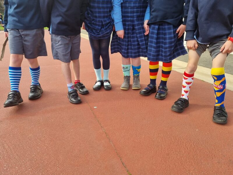 socks1